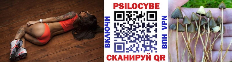 дарнет шоп  Северобайкальск  Галлюциногенные грибы Magic Shrooms 