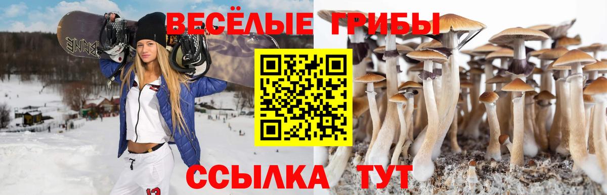 Галлюциногенные грибы мицелий Северобайкальск