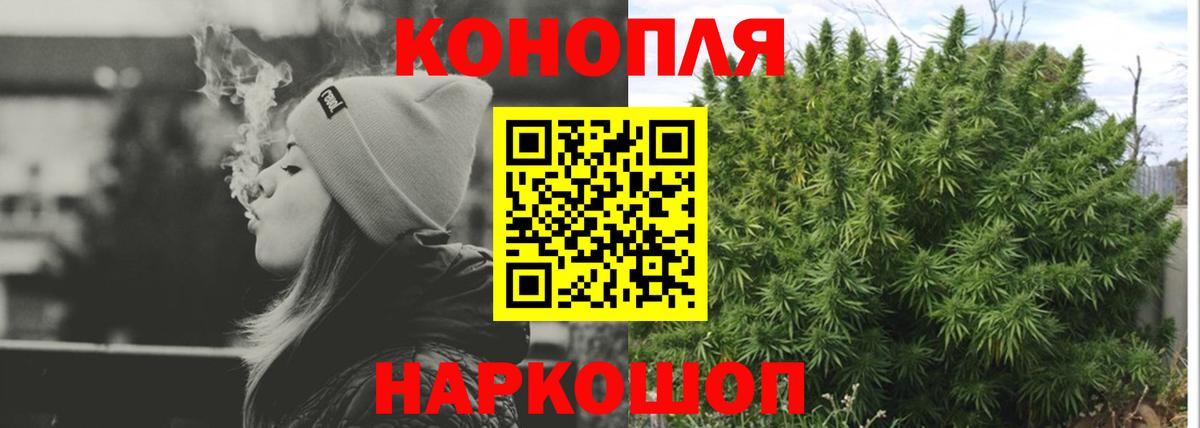 Каннабис конопля Северобайкальск